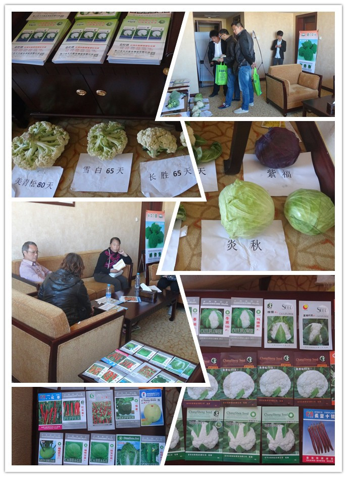 23屆北京種子大會(huì)大成路九號(hào)401:文興恭候八方友人前來(lái)洽談 23屆北京種子大會(huì)大成路九號(hào)401:文興恭候八方友人前來(lái)洽談