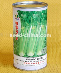 精選實(shí)芹王