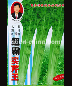 超霸實(shí)芹王