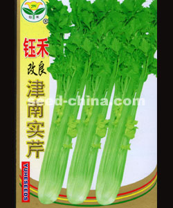 新津南實(shí)芹 