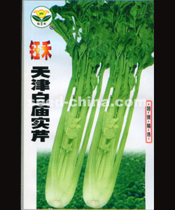 天津白廟實(shí)芹