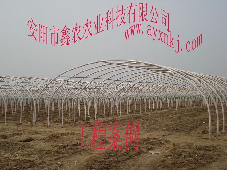 無支柱大棚骨架機(jī)