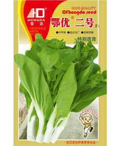 鄂優(yōu)二號(hào)白菜苔