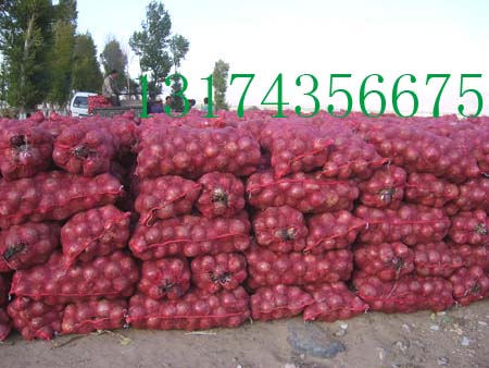 供應(yīng)毛蔥種子（栽子）