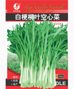 白梗柳葉空心菜