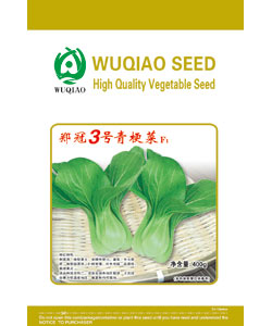 鄭冠3號青梗菜