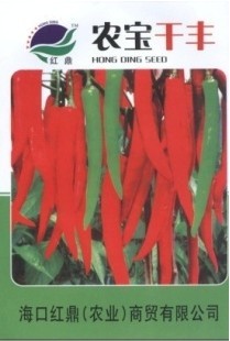 供應(yīng)辣椒種子－干豐3號（三味椒）