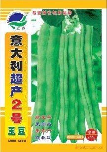 供應(yīng)豆角種子－意大利超產(chǎn)2號(hào)玉豆