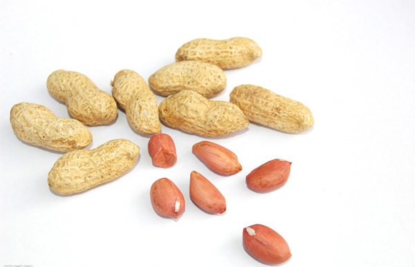 供應優(yōu)質(zhì)花生種子【花育34號】