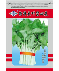 白桿大葉空心菜