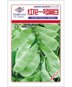 紅花一號扁豆