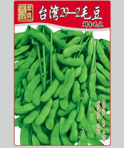 臺灣29-2毛豆