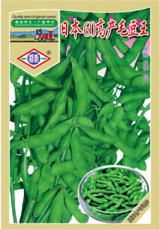 日本60高產毛豆王
