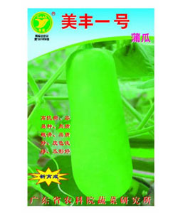 美豐一號(hào)蒲瓜