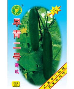 早青二號青瓜