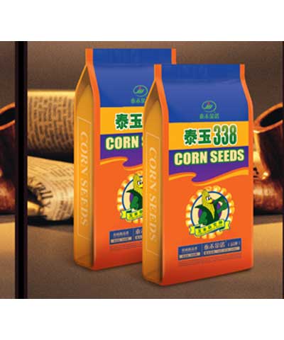 供應玉米種子 泰玉338 