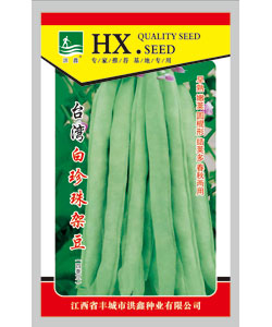 臺灣白珍珠架豆