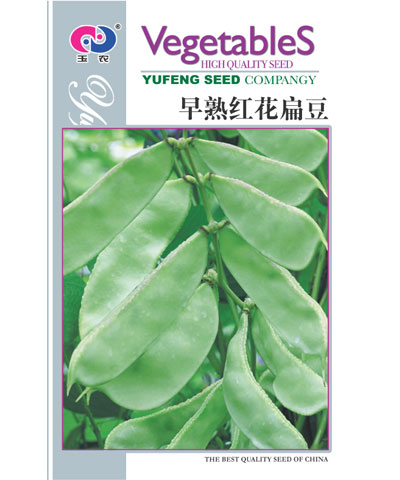 早熟紅花扁豆