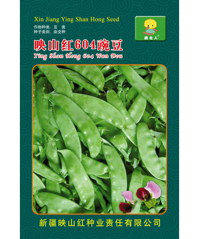 映山紅604豌豆