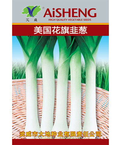 美國(guó)花旗韭蔥