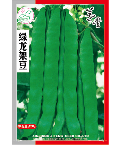 綠龍架豆