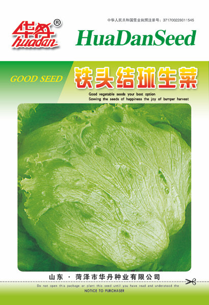 鐵頭結(jié)球生菜：