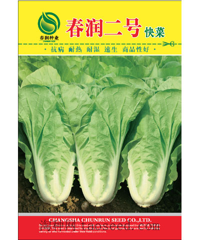 春潤(rùn)二號(hào)快菜
