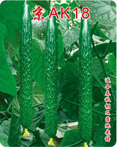 京AK18油量高產(chǎn)