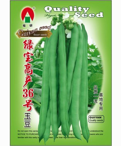 綠寶高產(chǎn)36號玉豆