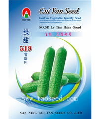 綠甜519 甜節(jié)瓜