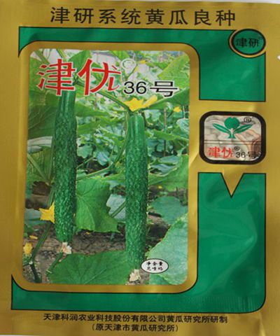 津優(yōu)36號(hào)