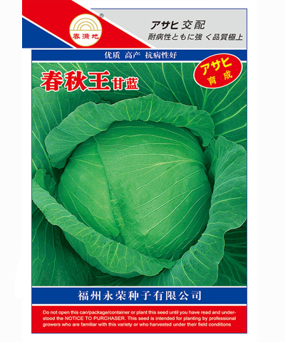 春秋王甘藍(lán)