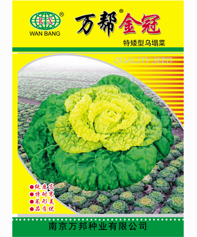 萬幫金冠特矮型烏塌菜