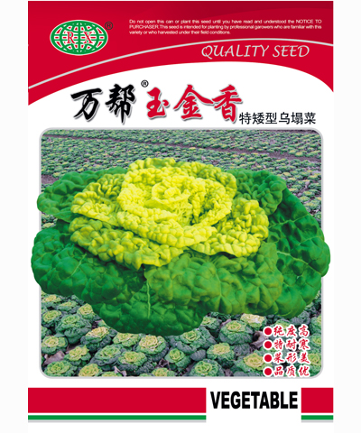 萬幫玉金香特矮型烏塌菜