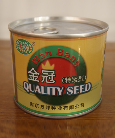 金冠烏塌菜（特矮型）