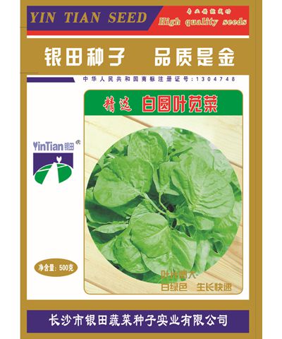 精選白圓葉莧菜