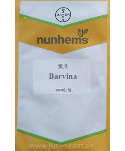 barvnia 芭比娜 腌漬黃瓜