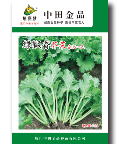 綠飄香芥菜 20g/包