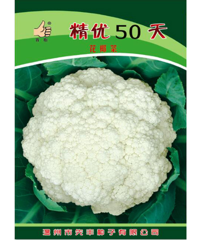 精優(yōu)50天花椰菜   首指牌