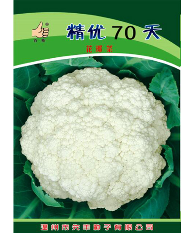 精優(yōu)70天花椰菜  首指牌