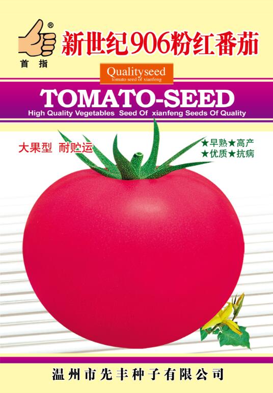 新世紀(jì)906粉紅番茄
