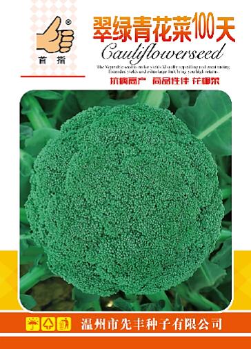 翠綠青花菜100天 1g