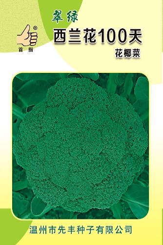 翠綠西蘭花100天 1g