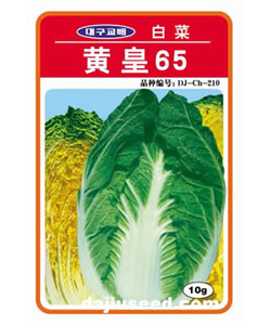 黃皇65——大白菜