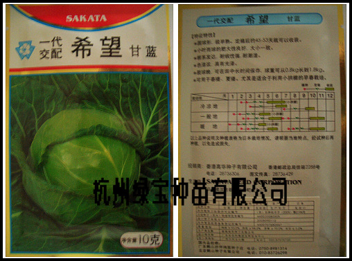 點(diǎn)擊在新窗口中打開