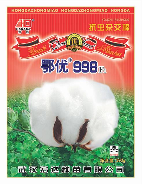 點(diǎn)擊在新窗口中打開