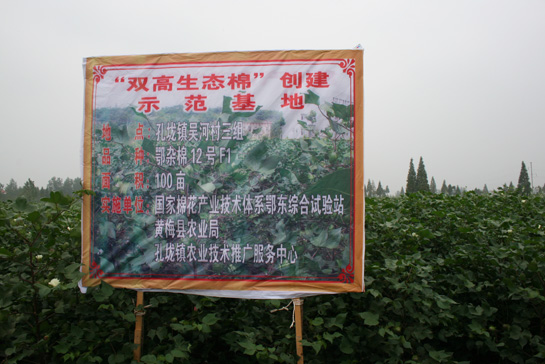 點(diǎn)擊在新窗口中打開(kāi)