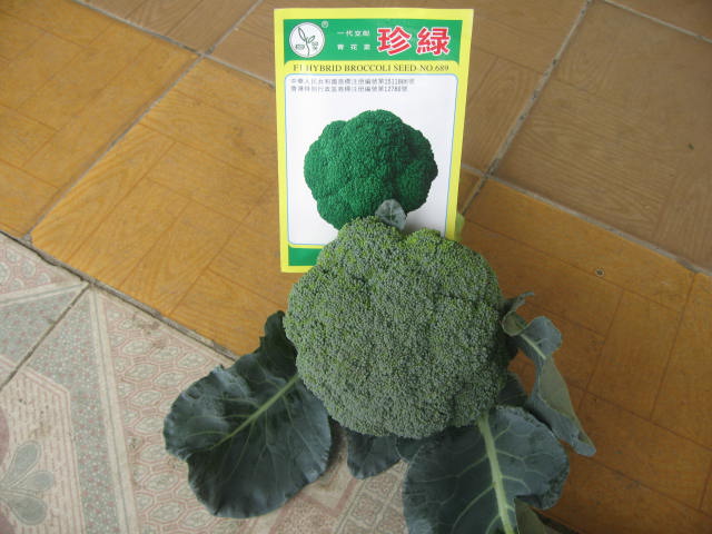 點(diǎn)擊在新窗口中打開(kāi)