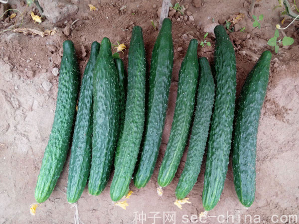 點擊在新窗口中打開