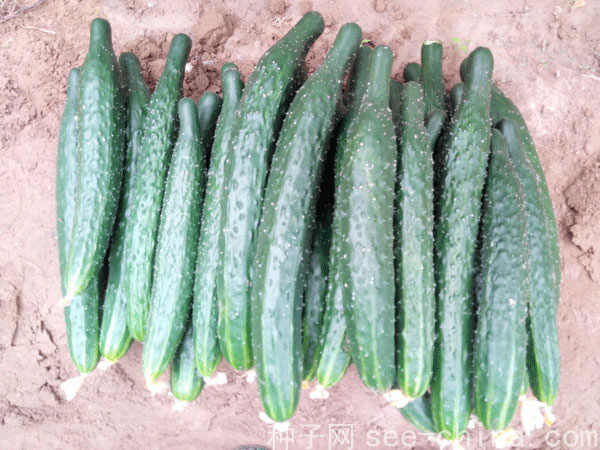 點擊在新窗口中打開